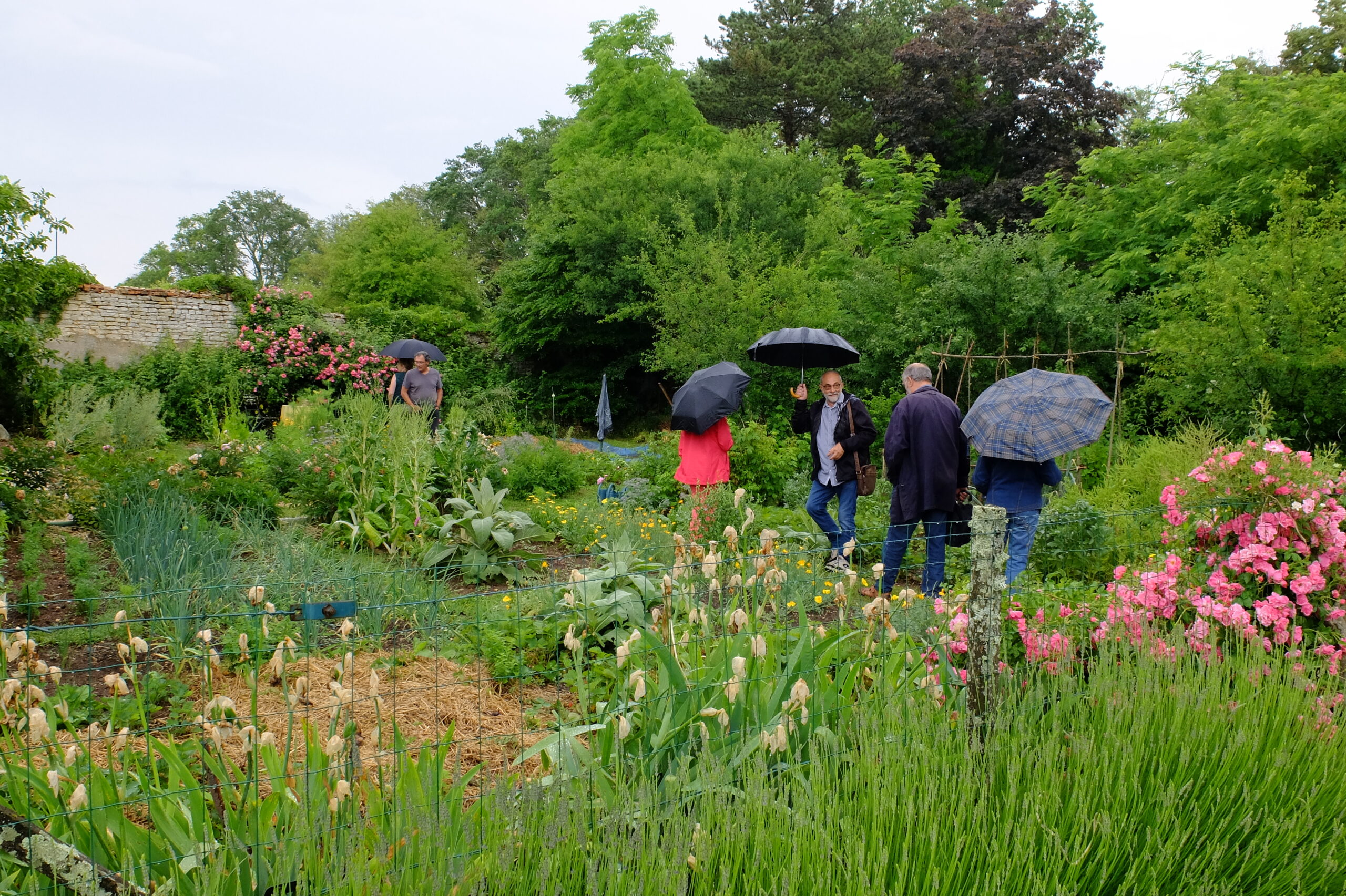 Défi Biodiversité de Culan | La biodiversité au jardin