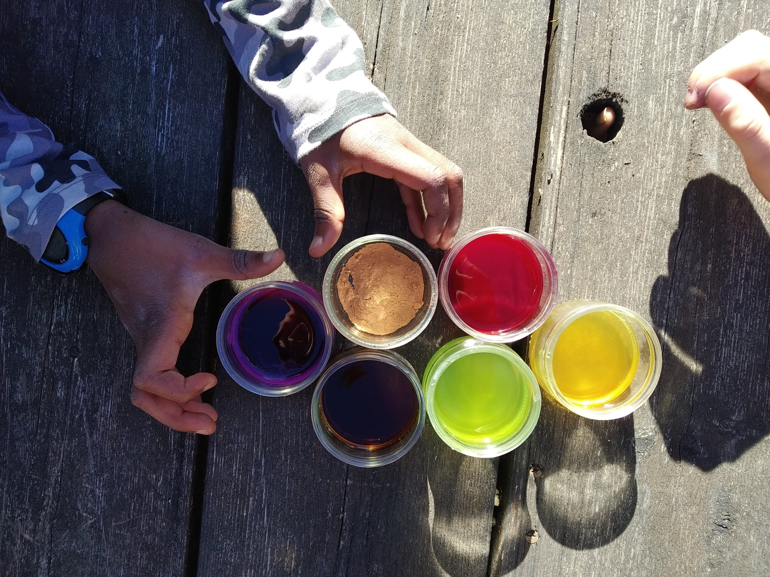 Découvrons et peignons avec les couleurs de la nature